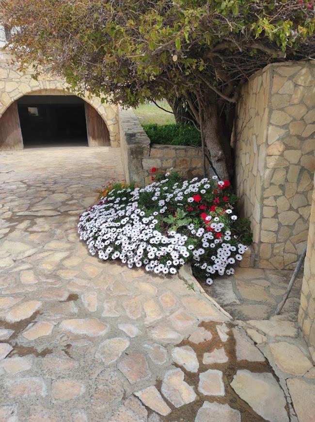 Island Villa Agia Galini Extérieur photo